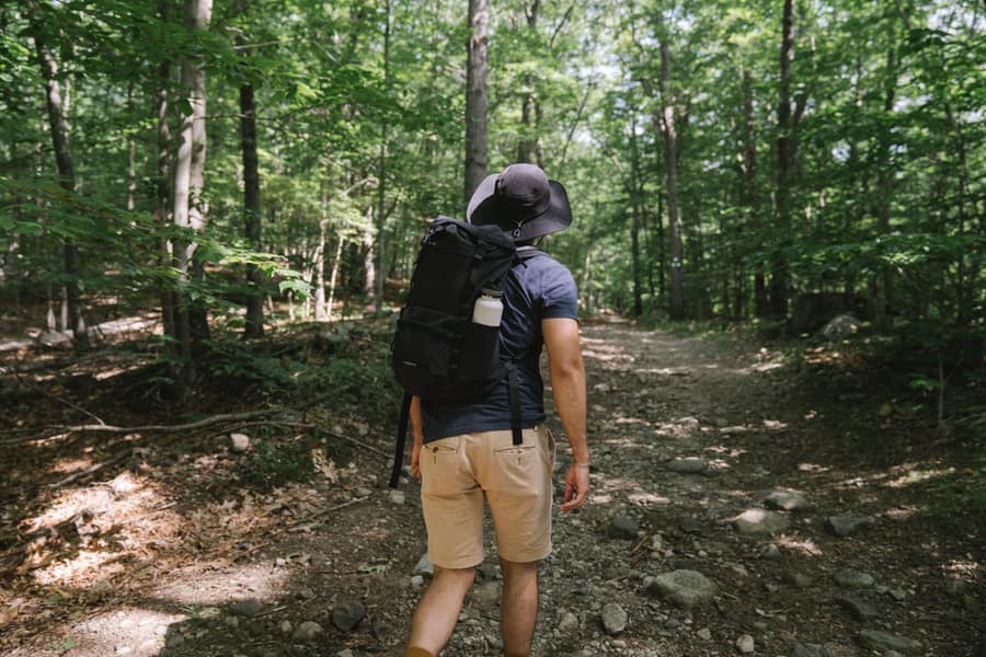 Illustrative stock photo: a man with a backpack and hat walking a forest trail