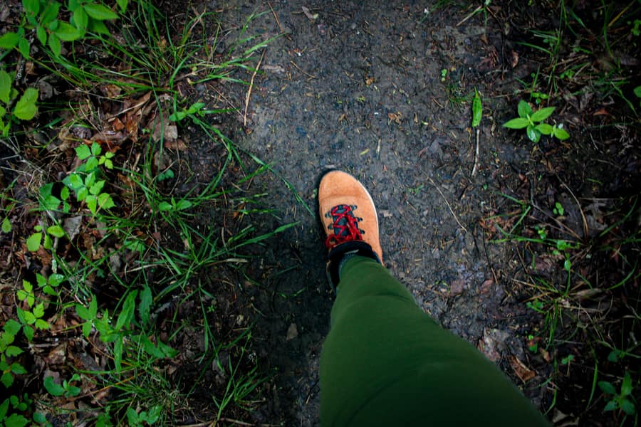Illustrative stock photo: a hiking boot on a dirt trail between green plants